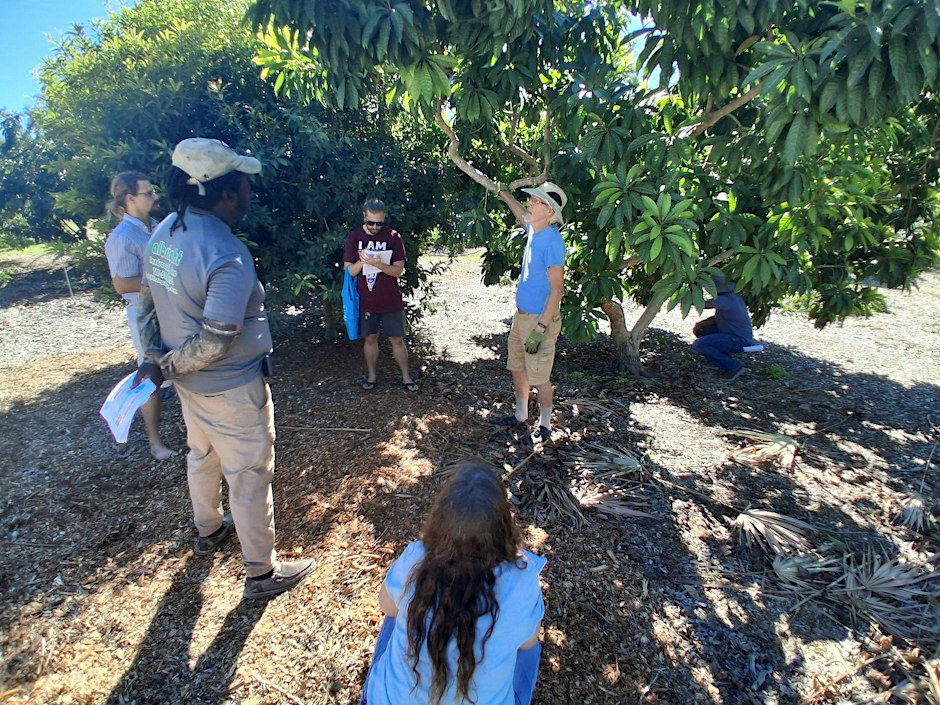 Fruit Tree Paradise Workshop
