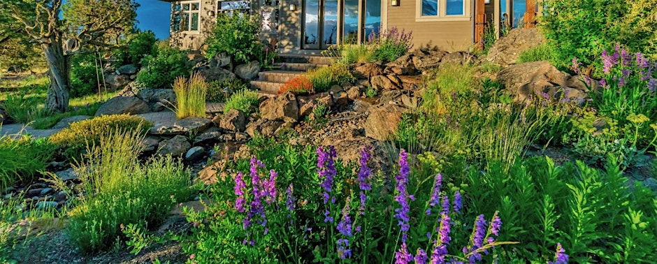 Native Plant Landscape Design