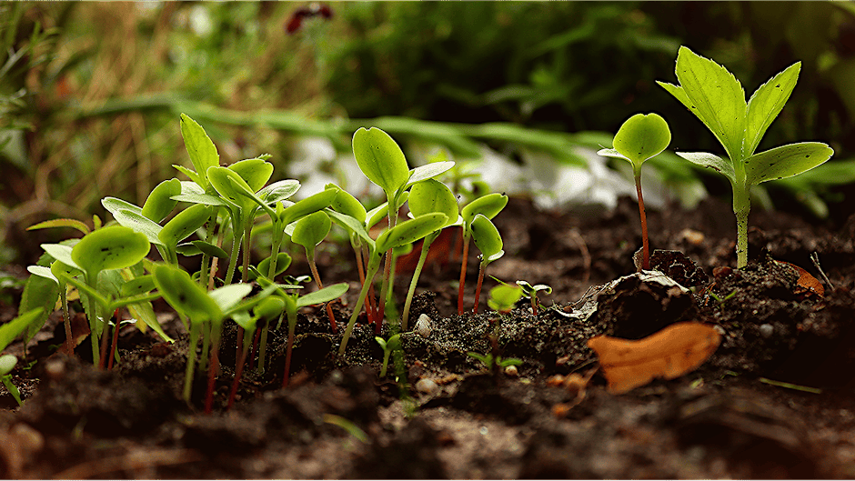 Permaculture Made Practical Workshop