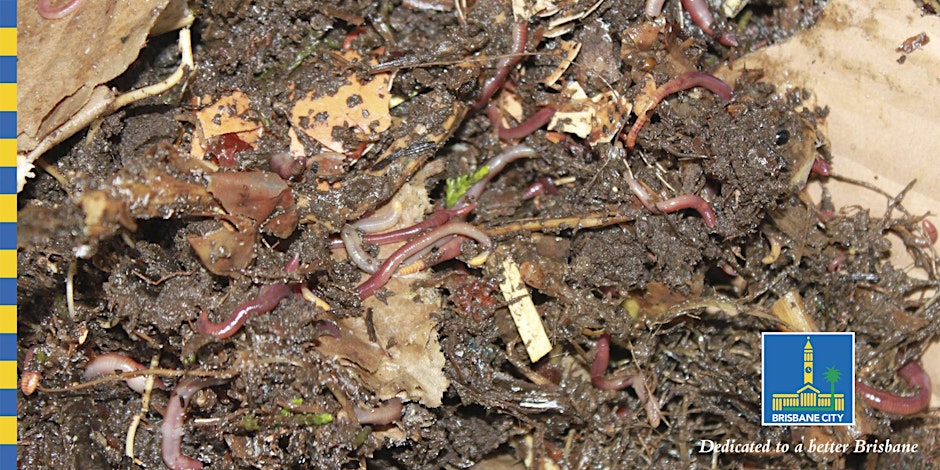 Horticulture Series - From the Ground Up: Composting and Worms