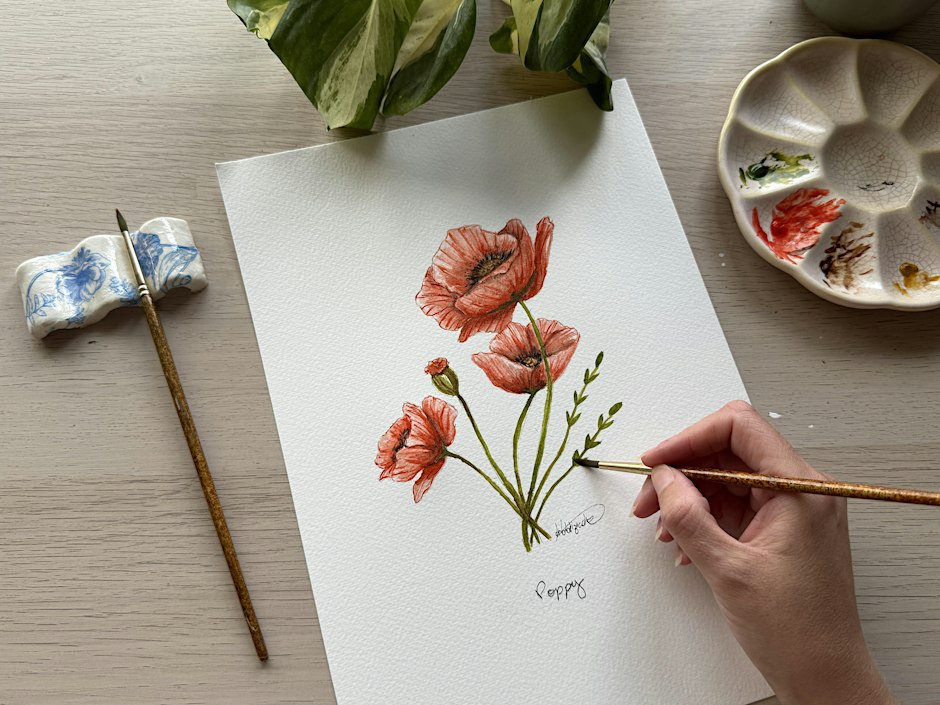 Botanical Watercolour for Beginners - Poppy Flower