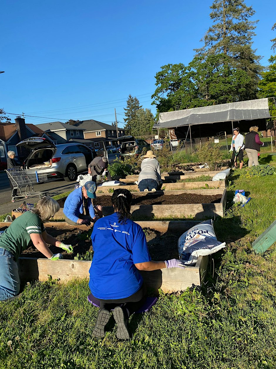 Gardening Moai Meet-up | BZP PS