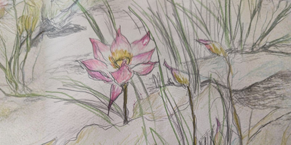 Night owl art - botanical nature sketchbook