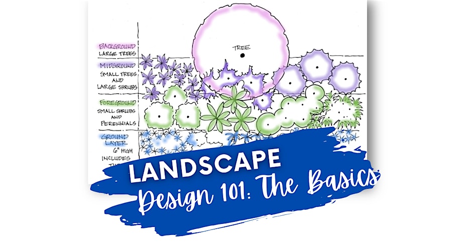 Landscape Design 101: The Basics