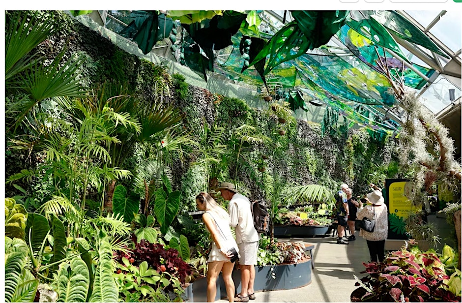 Botanical Garden Visit