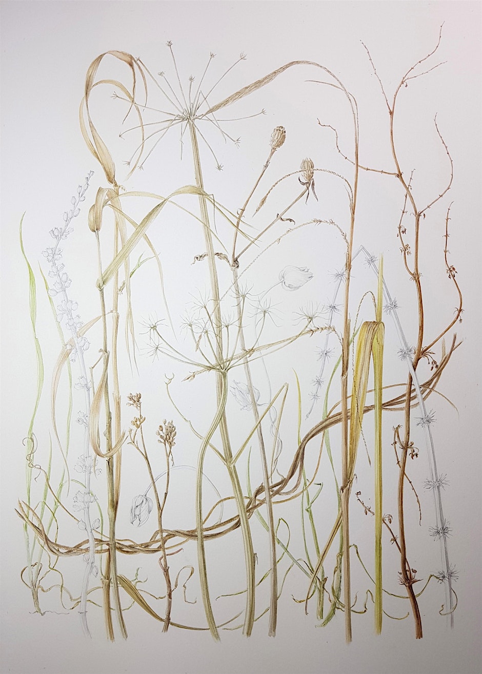 Botanical Painting Workshop