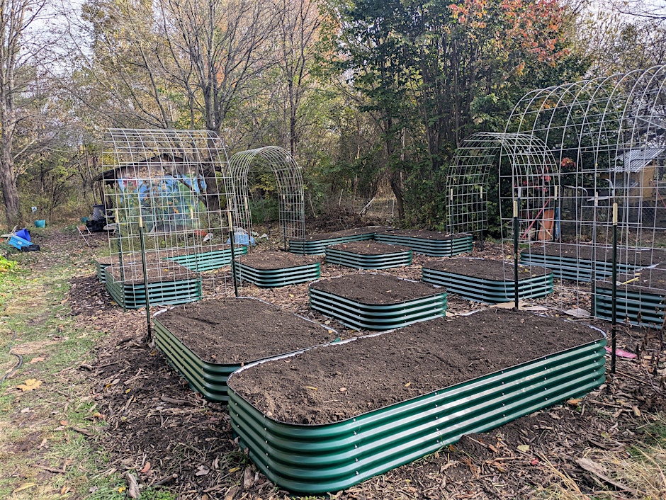Kitchen Gardening Part 2