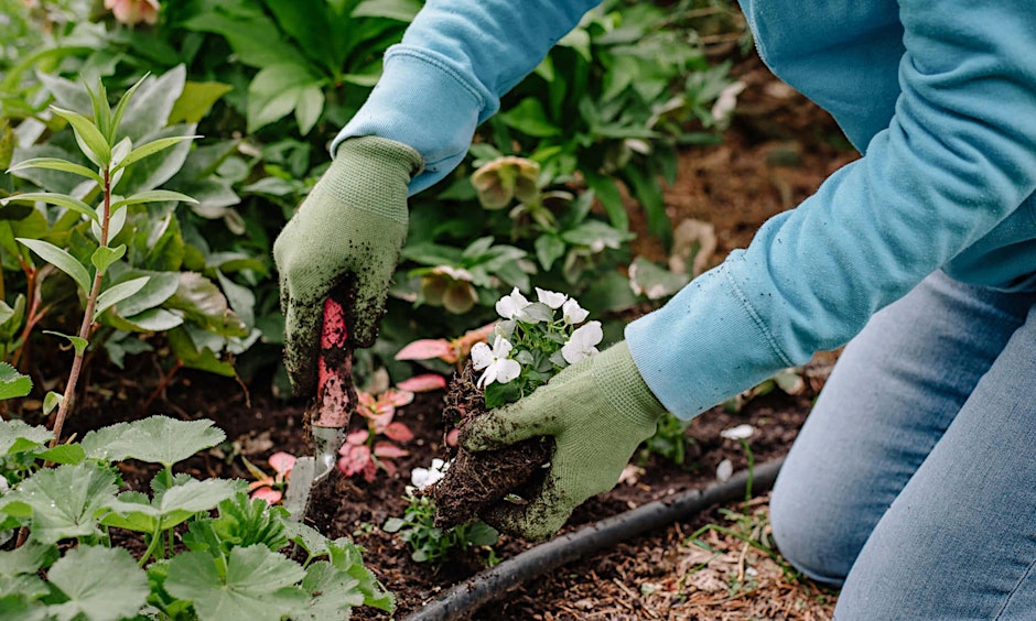 Gardening 101 Class