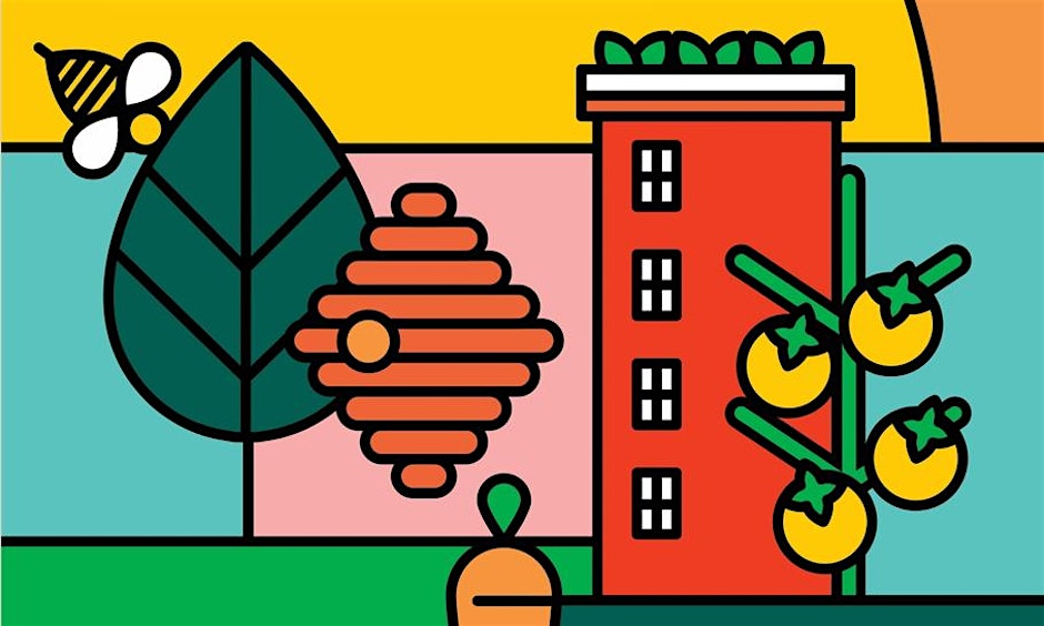 Homegrown Mississauga Summer Season Garden Care Workshop Series