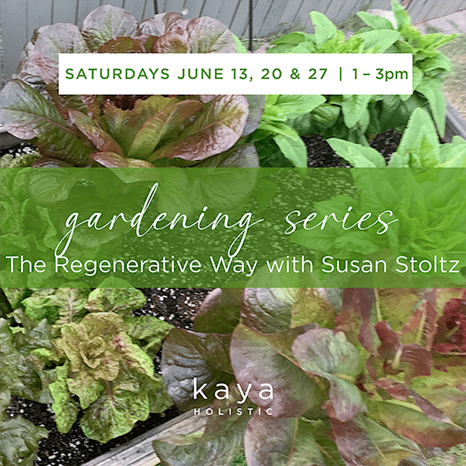 Gardening Series: The Regenerative Way with Susan Stoltz