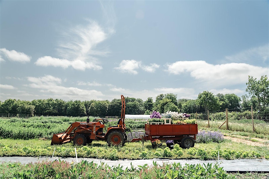 Featherstone Flowers - Guided Flower Farm Tour