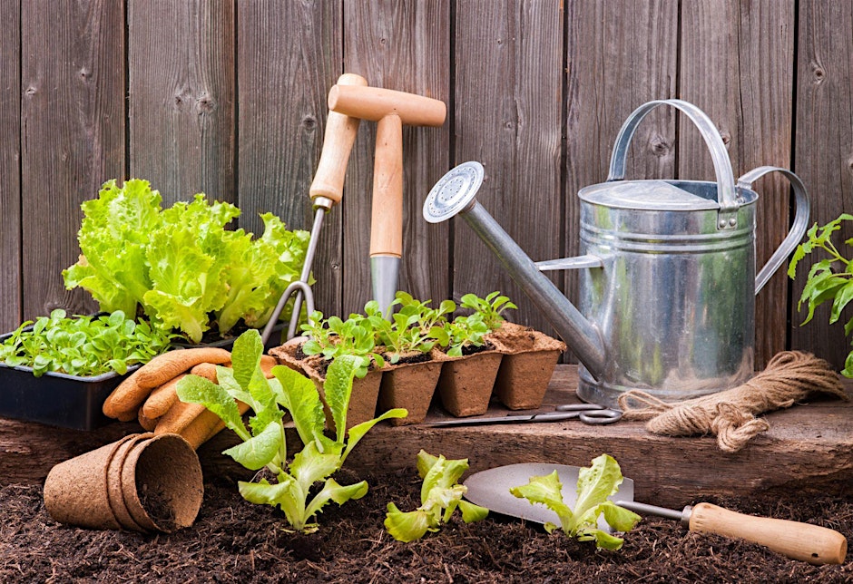 Gardening 101