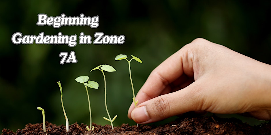 Beginning Gardening
