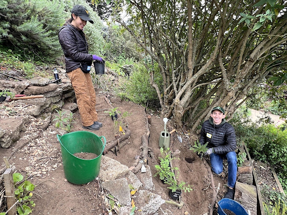 How to Cope with a Slope! Tips for Gardening on Hillsides