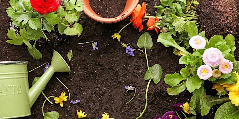 Native Edible Gardening: learn, taste and take home a plant