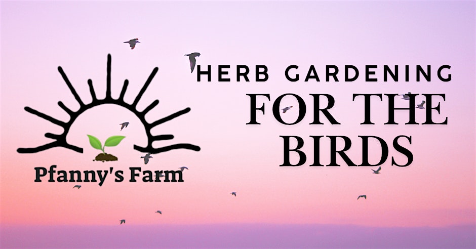 Herb Gardening for the Birds