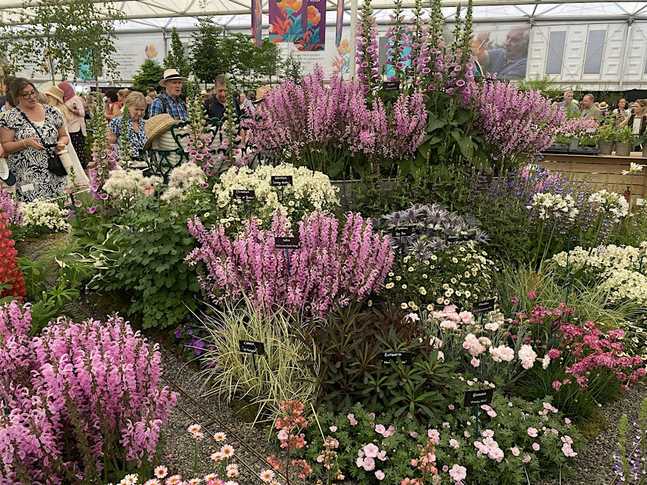 1-2-1 Gardening Advice