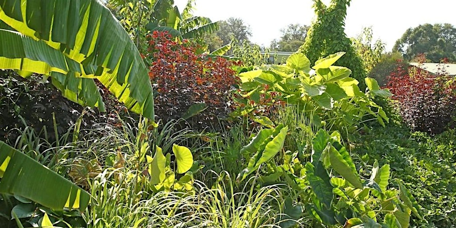 Home Harvest - Cultural crops of Melbourne