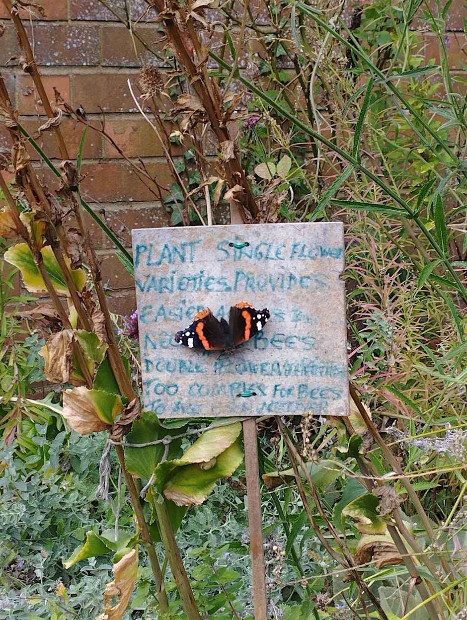 Wildlife Gardening