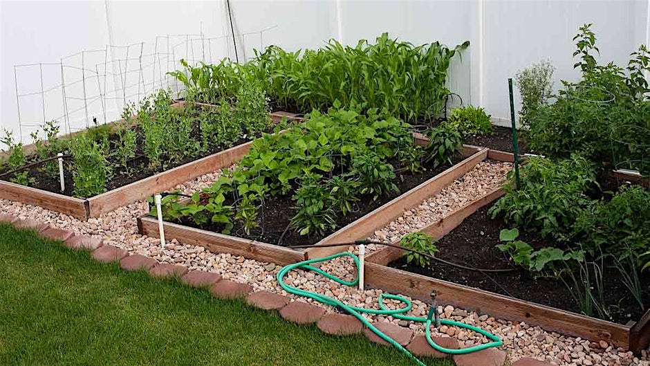 Vegetable gardening in Central Florida