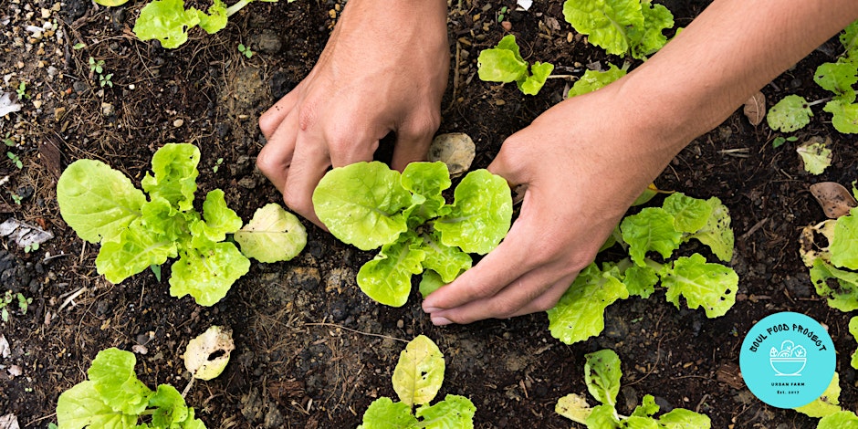 Free Gardening Workshop