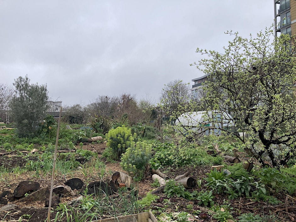 Forest Garden Workshop