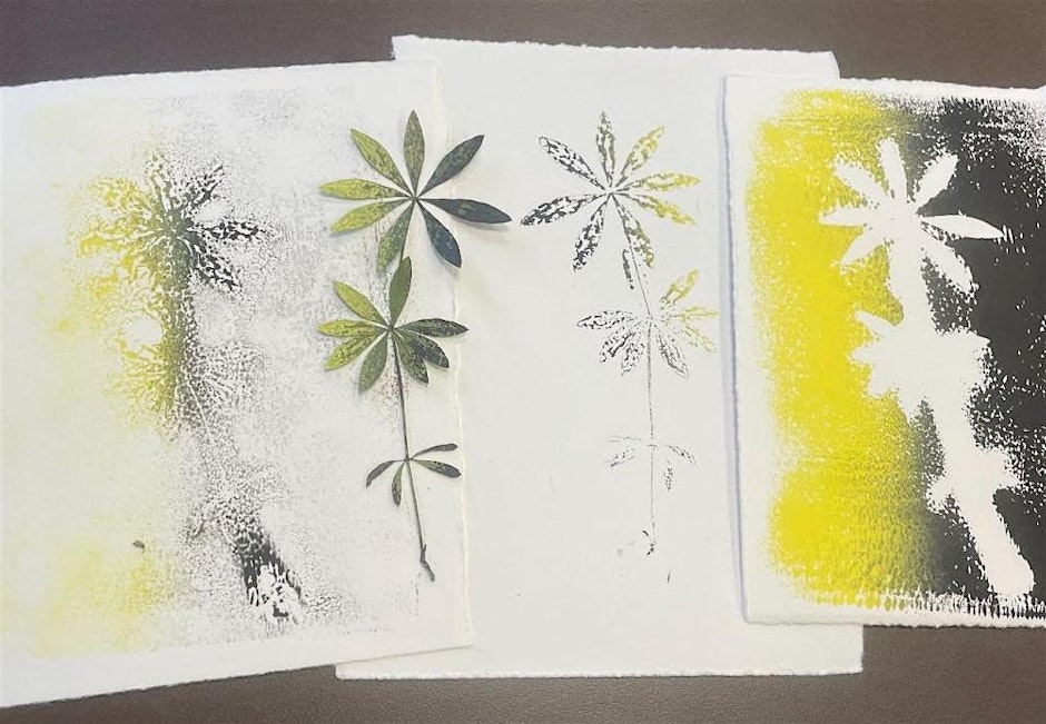 Botanical Prints – Direct Contact Printmaking
