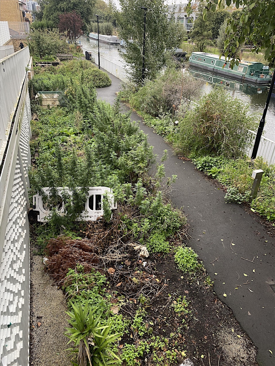 Free gardening workshop