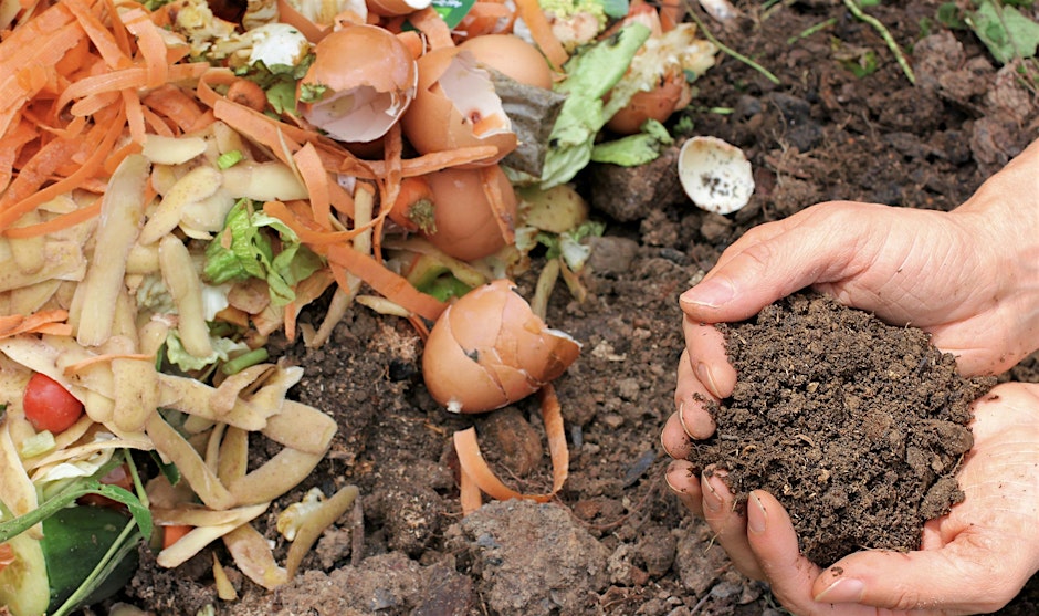 Gardening Workshop — Composting