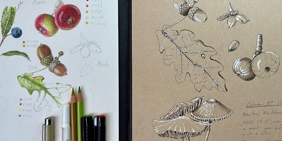 Botanical Sketchbook Workshop at Summer Leys (17th July)