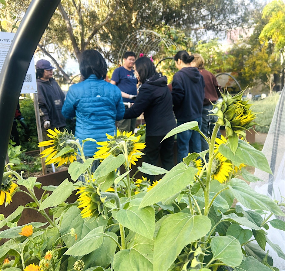 Gardening Bee: Community Gardening on Campus
