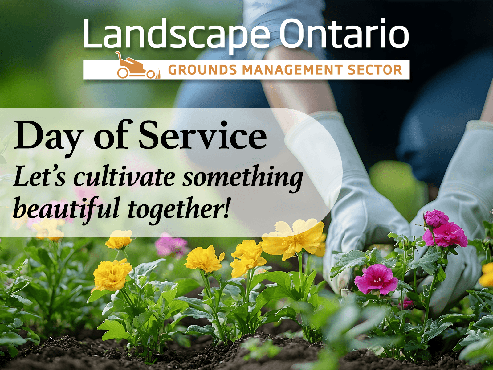 Grounds Management Sector: Day of Service 2026
