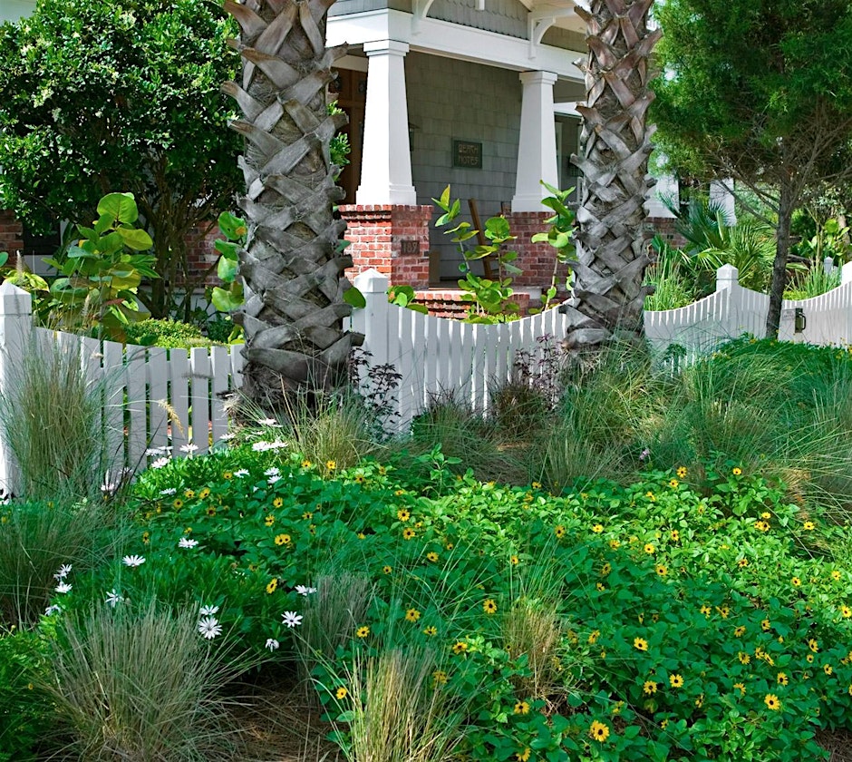 Florida-Friendly Landscaping for Absolute Beginners!