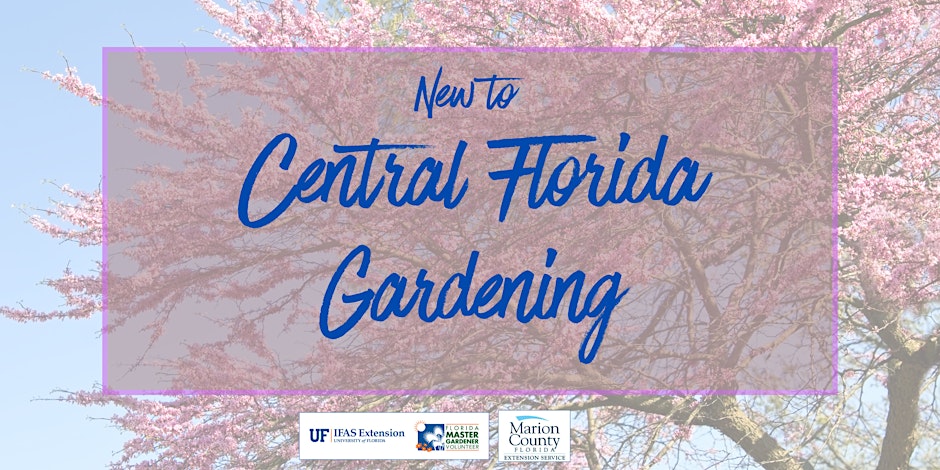New to Central Florida Gardening