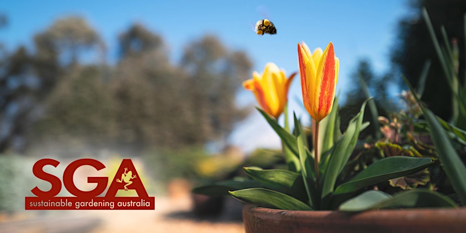 Get Gardening: Buzzy Pots workshop