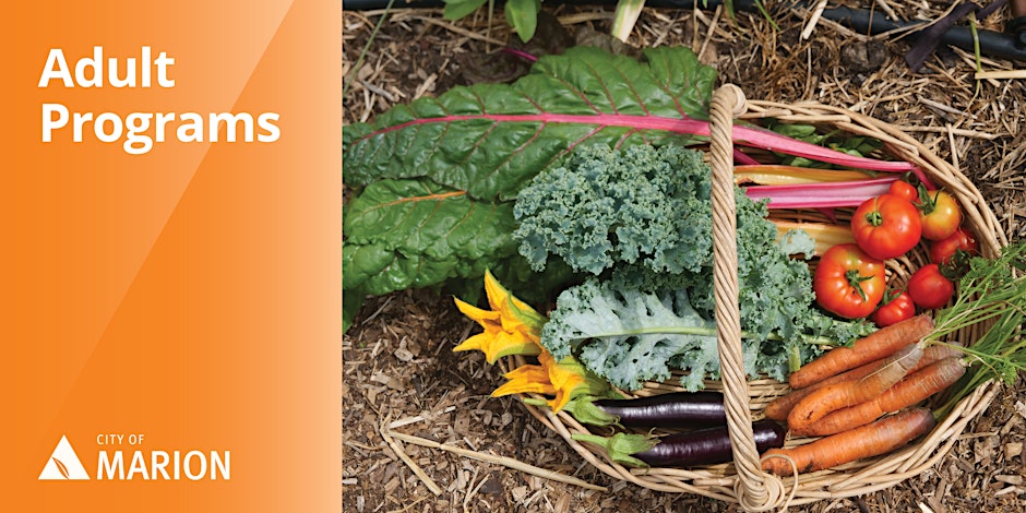 Gardening on a Budget