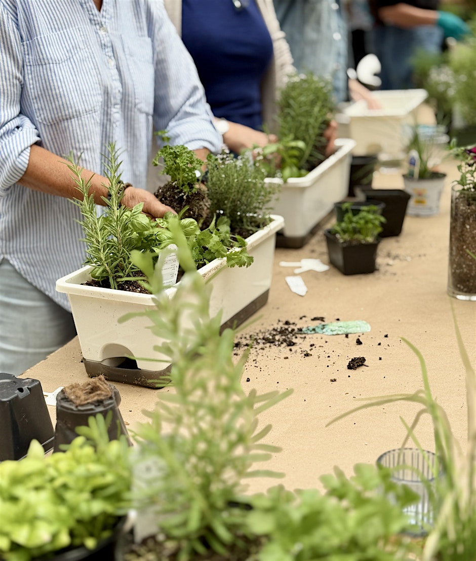 Kitchen Herb Garden Workshop