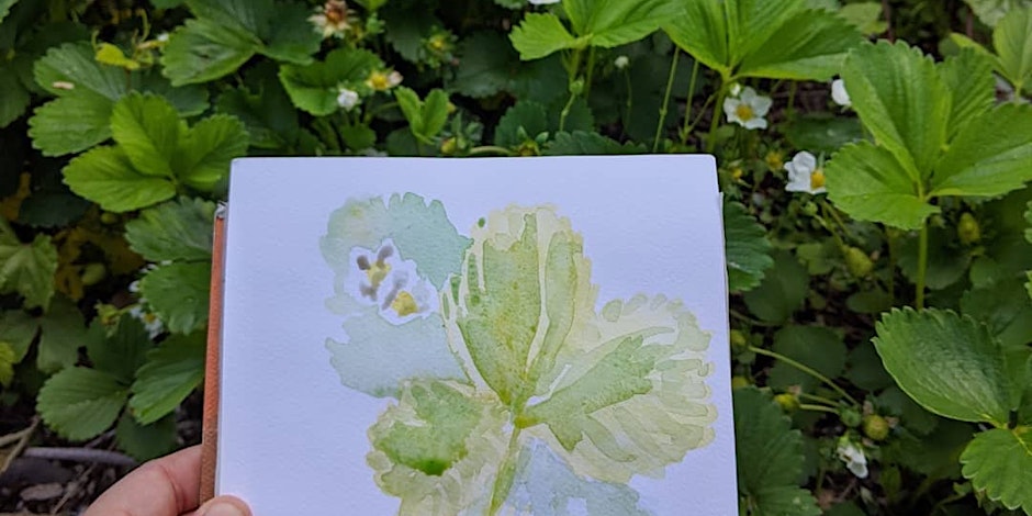 Plant on Paper: Botanical Illustration for All Levels