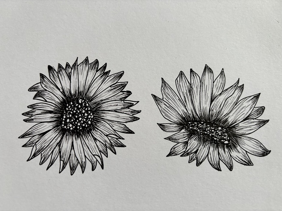 NEW! Learn How to Draw Autumn Botanicals –October -Four-Session Course