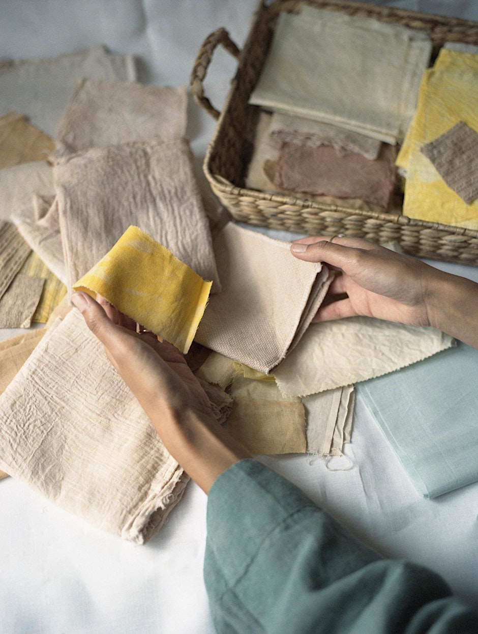 Seasonal Botanical Dyes Workshop