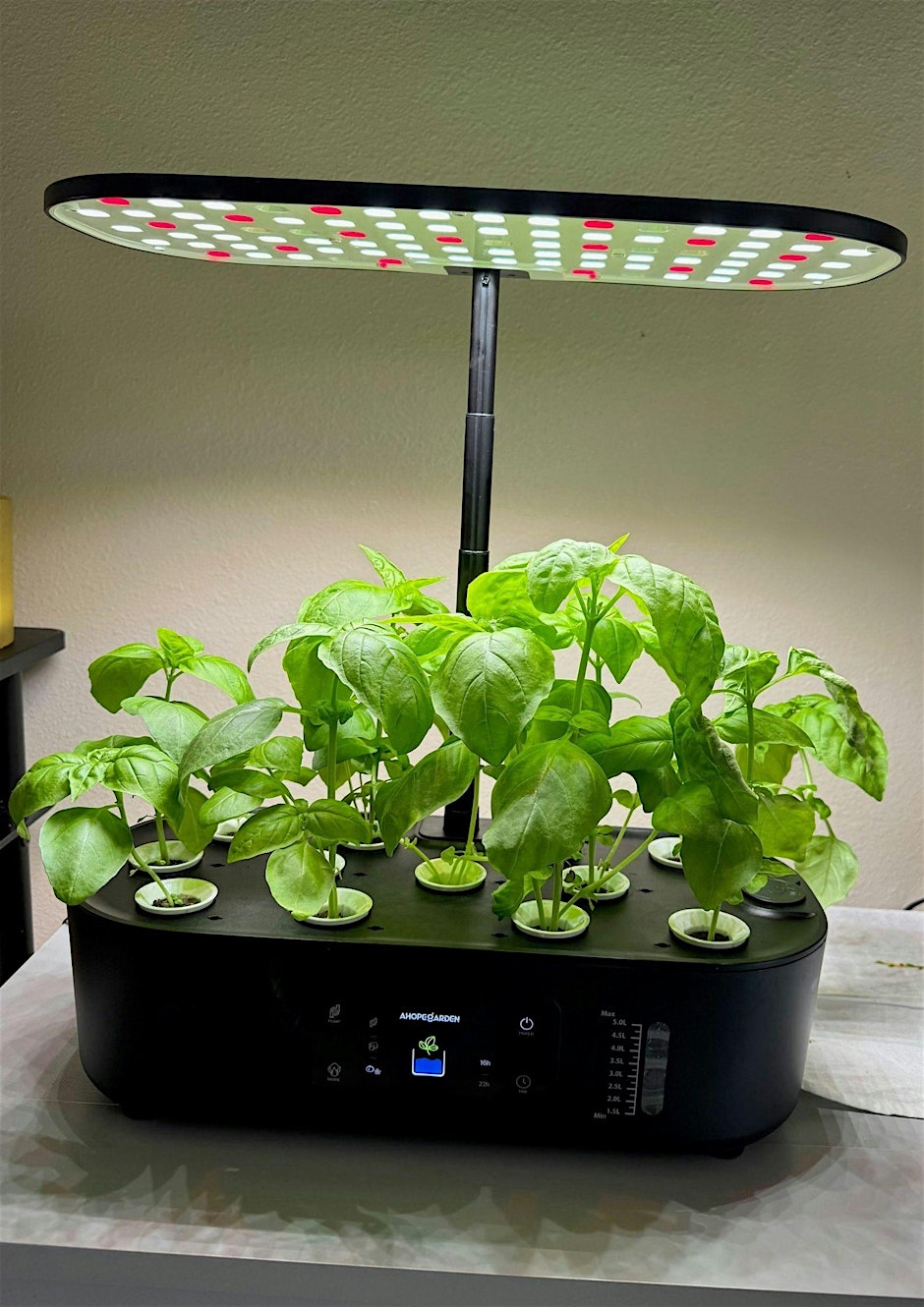 Soilless Gardening Workshop