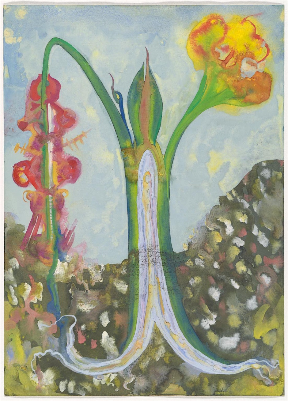 Botanical illustration: communing with nature for creative expression