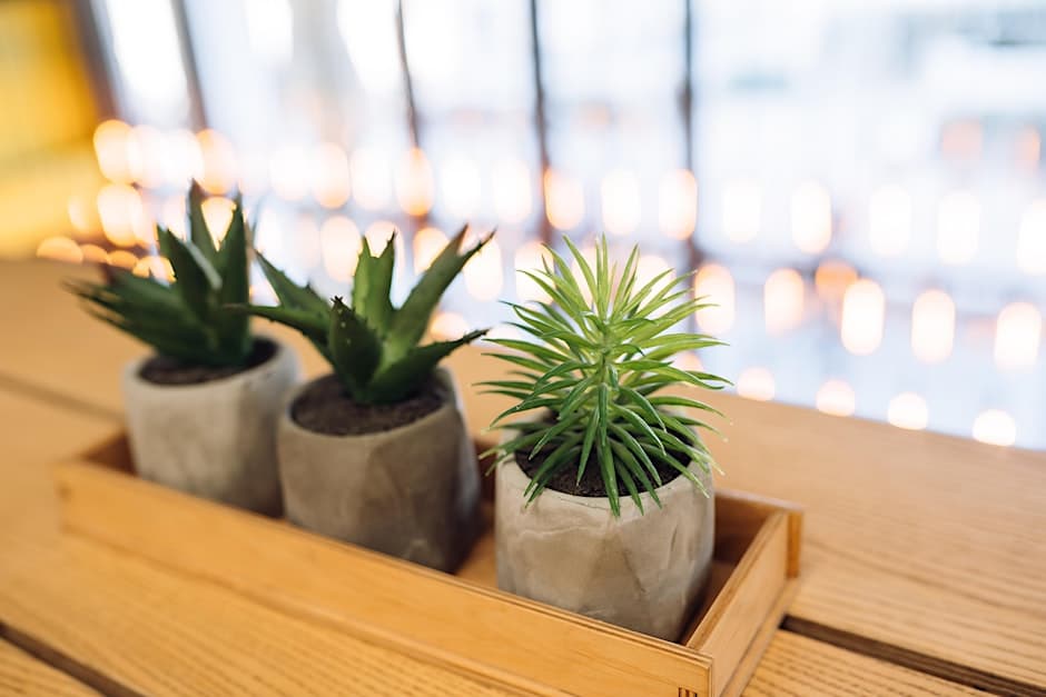 Afterschool Botanical Craft Camp