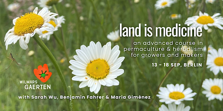 Land is Medicine – An advanced course in permaculture & herbalism