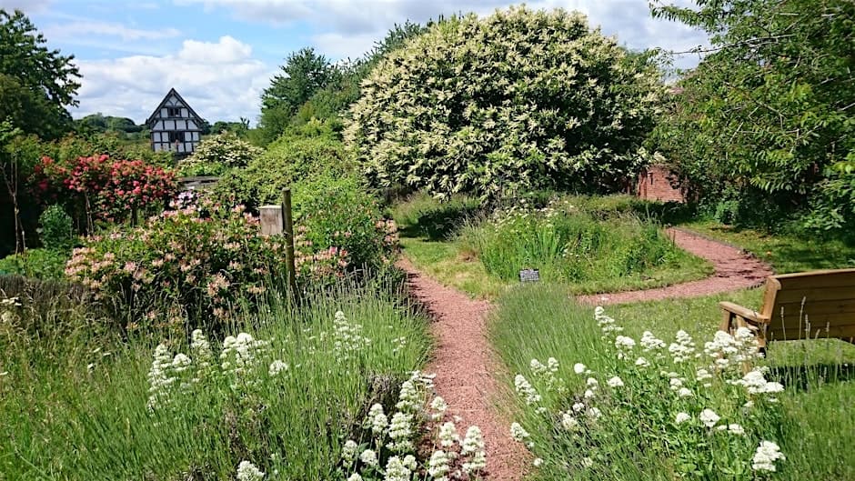 Wildlife Garden Open Day