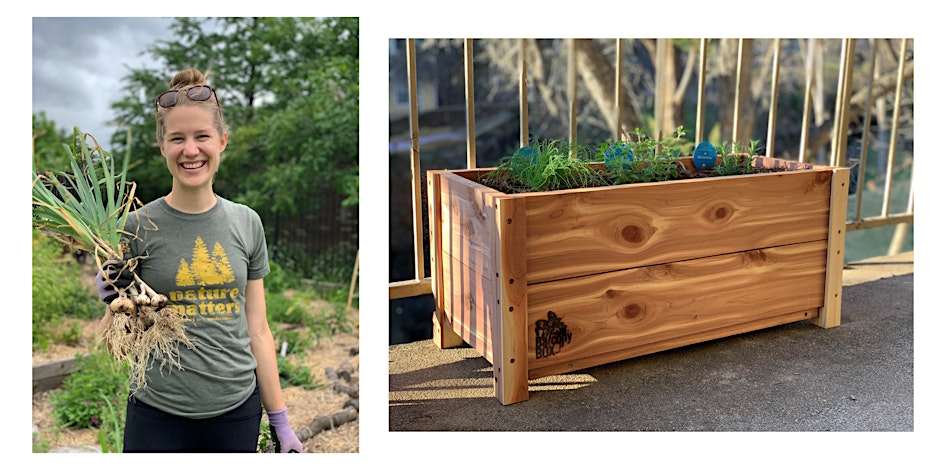 Fall Vegetable Gardening Basics & Booksigning