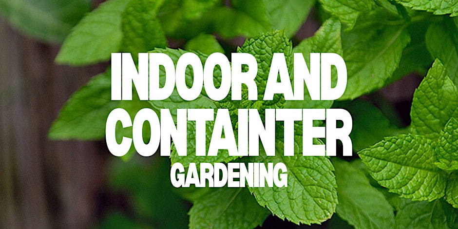 Indoor and Container Gardening 101 w/ Cultivate The City