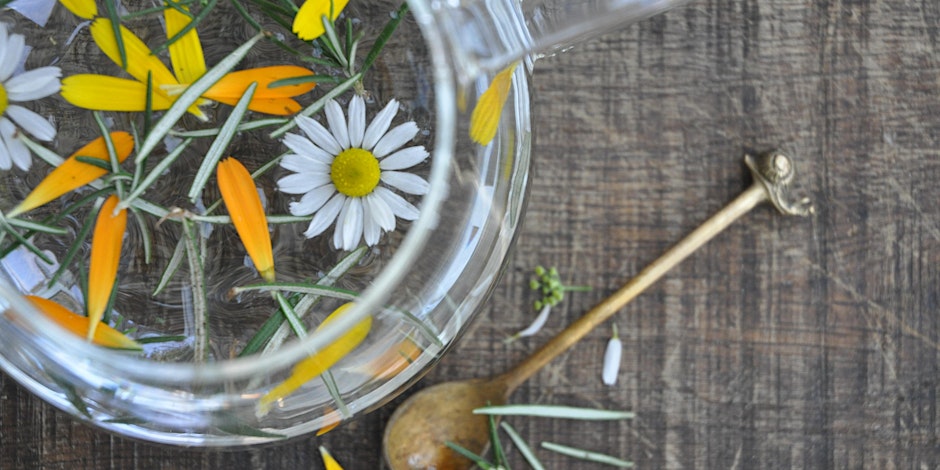 Blending botanical infusions & herbal folklore workshop