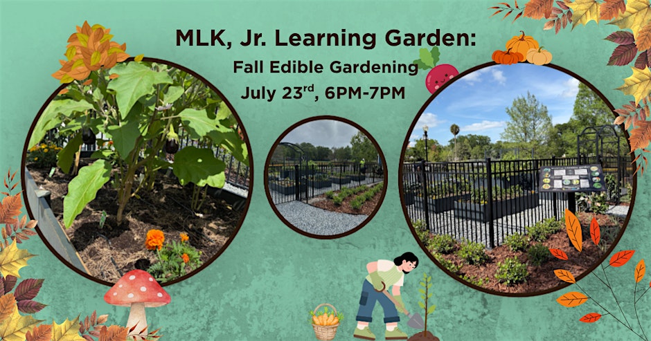 MLK, Jr. Learning Garden : Fall Edible Gardening