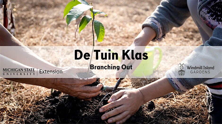 De Tuin Klas: Branching Out